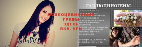 дурь Новозыбков