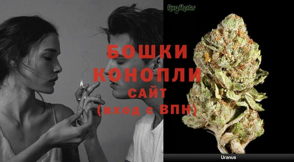 дурь Новозыбков