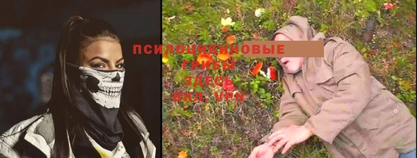 дурь Новозыбков