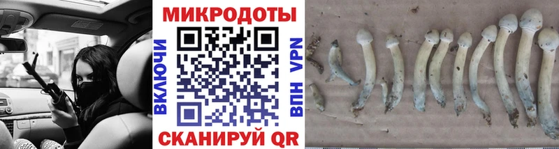 Купить где  Нижний Новгород  Галлюциногенные грибы Cubensis 